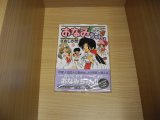 画像: さおしか然　平成町娘なおみちゃん