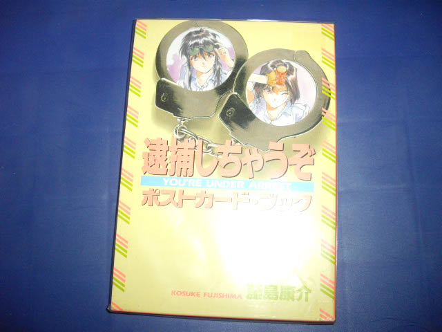 画像1: 逮捕しちゃうぞ　ポストカードブック